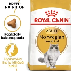 Royal Canin Tarjoukset Kissoille|Kissan Kuivaruoka*Norwegian Forest Cat