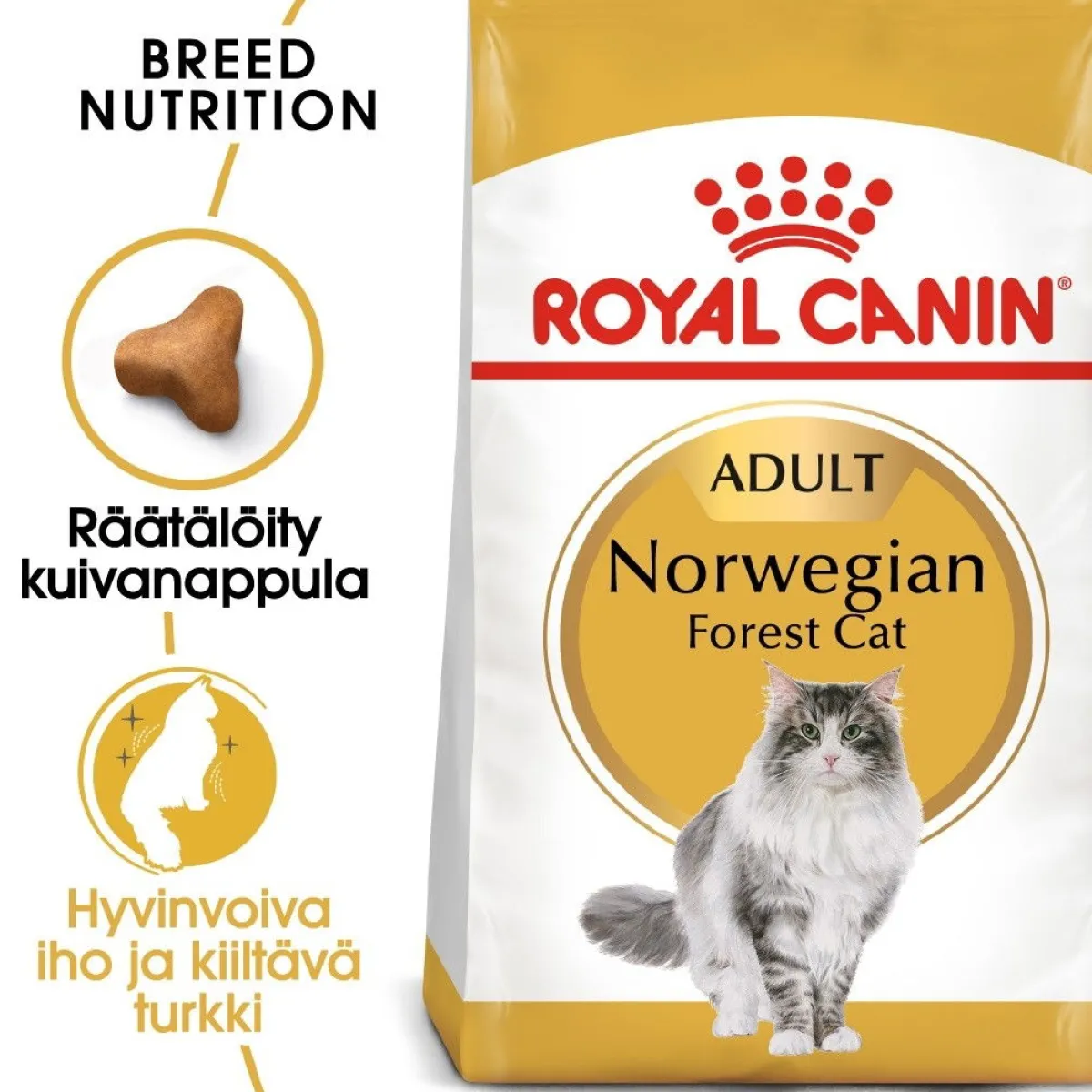 Royal Canin Tarjoukset Kissoille|Kissan Kuivaruoka*Norwegian Forest Cat