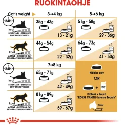 Royal Canin Tarjoukset Kissoille|Kissan Kuivaruoka*Norwegian Forest Cat