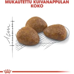 Royal Canin Seniorikissan Ruoka|Kissan Kuivaruoka*Outdoor 7+