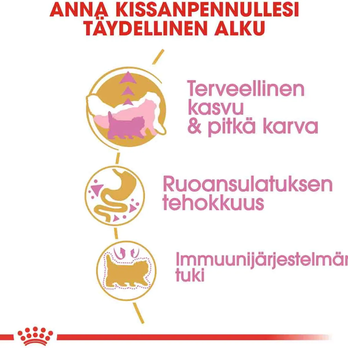 Royal Canin Kissanpennun Ruoka|Tarjoukset Kissoille*Persian Kitten
