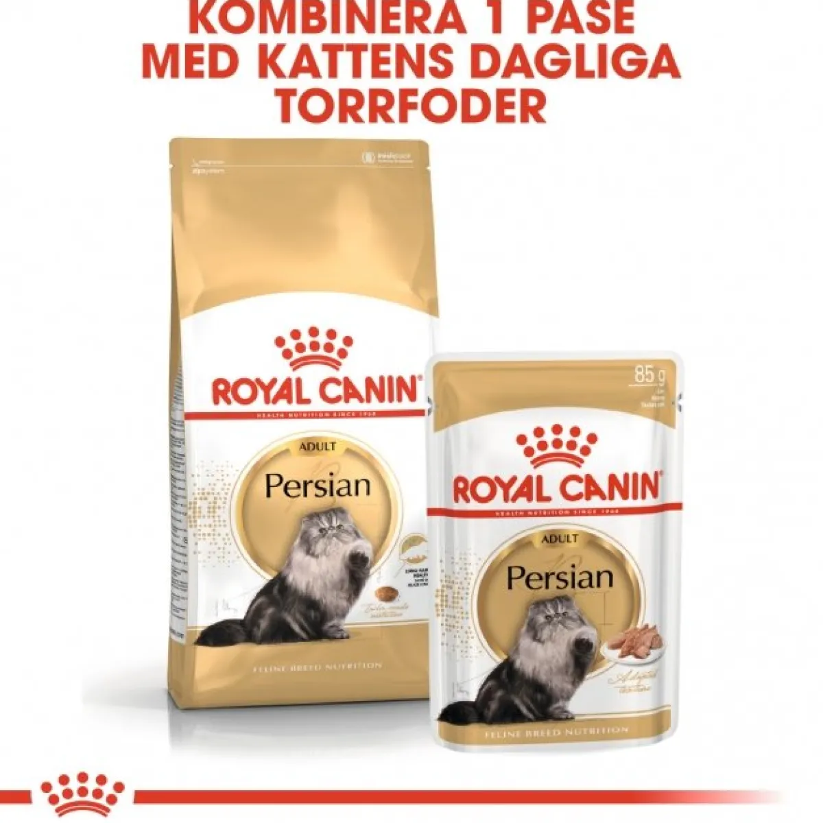 Royal Canin Kissan Märkäruoka*Persian Loaf 85g, 48-pack