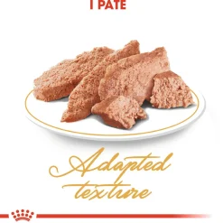 Royal Canin Kissan Märkäruoka*Persian Loaf 85g, 48-pack