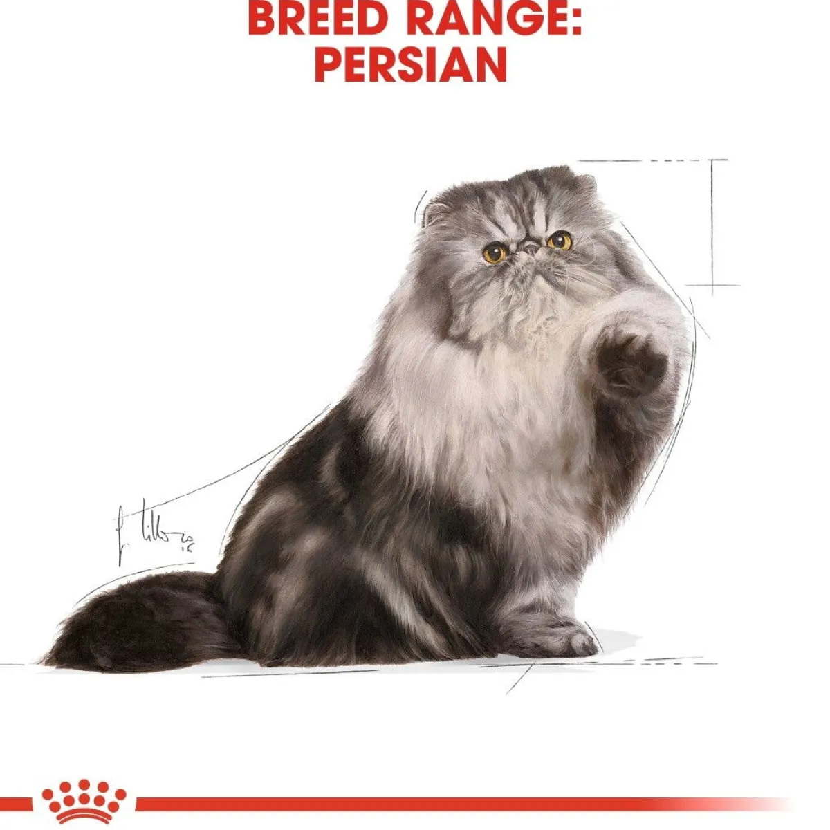 Royal Canin Kissan Märkäruoka*Persian Loaf 85g, 48-pack