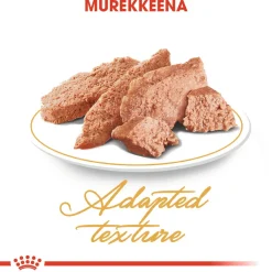 Royal Canin Kissan Märkäruoka|Tarjoukset Kissoille*Persian Wet