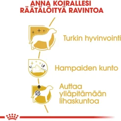 Royal Canin Koiran Kuivaruoka|Tarjoukset Koirille*Poodle Adult