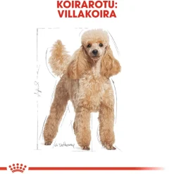 Royal Canin Koiran Kuivaruoka|Tarjoukset Koirille*Poodle Adult