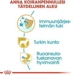 Royal Canin Penturuoka|Koiran Kuivaruoka*Poodle Puppy 3 kg