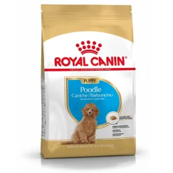 Royal Canin Penturuoka|Koiran Kuivaruoka*Poodle Puppy 3 kg