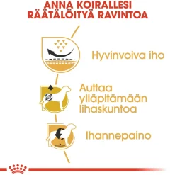 Royal Canin Koiran Kuivaruoka|Tarjoukset Koirille*Pug Adult