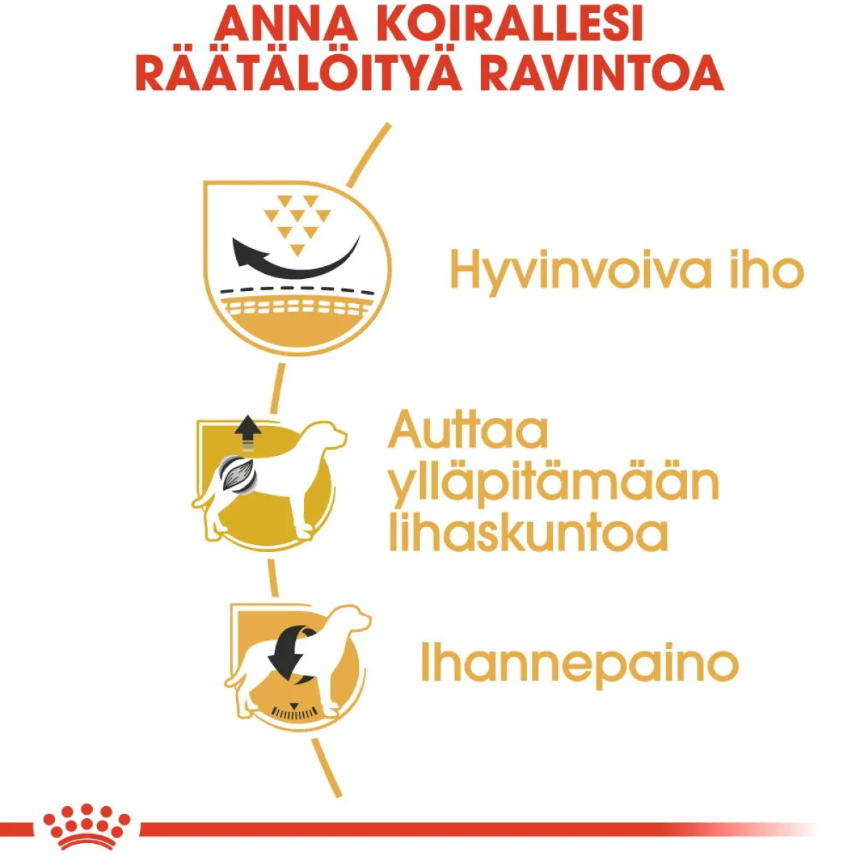 Royal Canin Koiran Kuivaruoka|Tarjoukset Koirille*Pug Adult