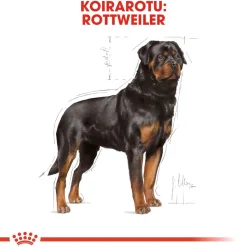 Royal Canin Koiran Kuivaruoka|Tarjoukset Koirille*Rottweiler Adult 12 kg