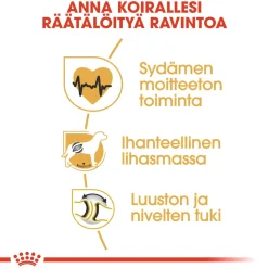Royal Canin Koiran Kuivaruoka|Tarjoukset Koirille*Rottweiler Adult 12 kg