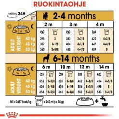 Royal Canin Penturuoka|Koiran Kuivaruoka*Rottweiler Puppy 12 kg
