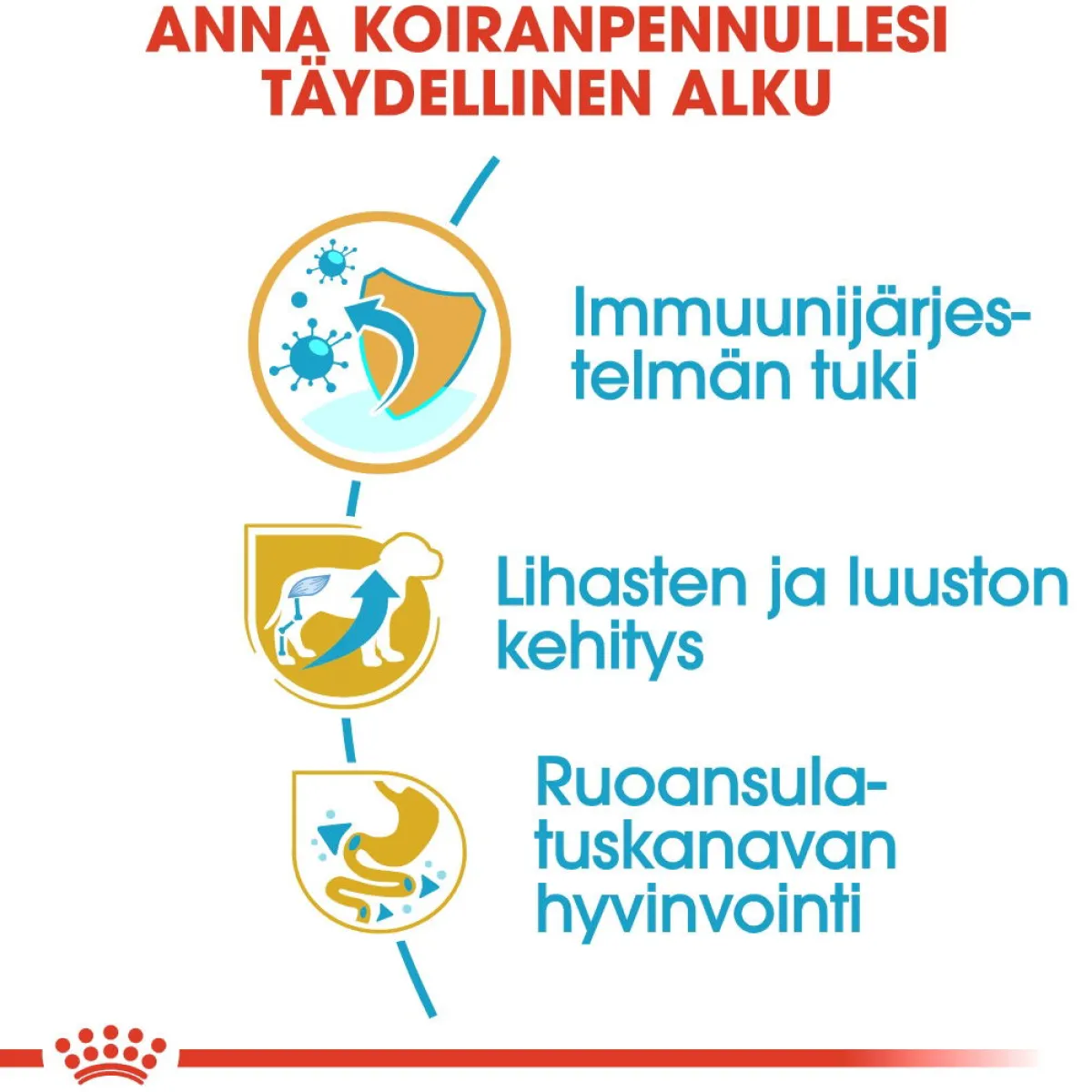 Royal Canin Penturuoka|Koiran Kuivaruoka*Rottweiler Puppy 12 kg