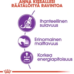 Royal Canin Kissan Kuivaruoka|Kissan Erikoisruoat*Sensible