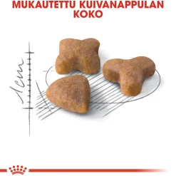 Royal Canin Kissan Kuivaruoka|Kissan Erikoisruoat*Sensible