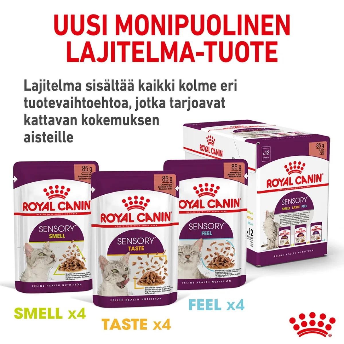 Royal Canin Kissan Märkäruoka*Sensory Feel Gravy, 12x85g