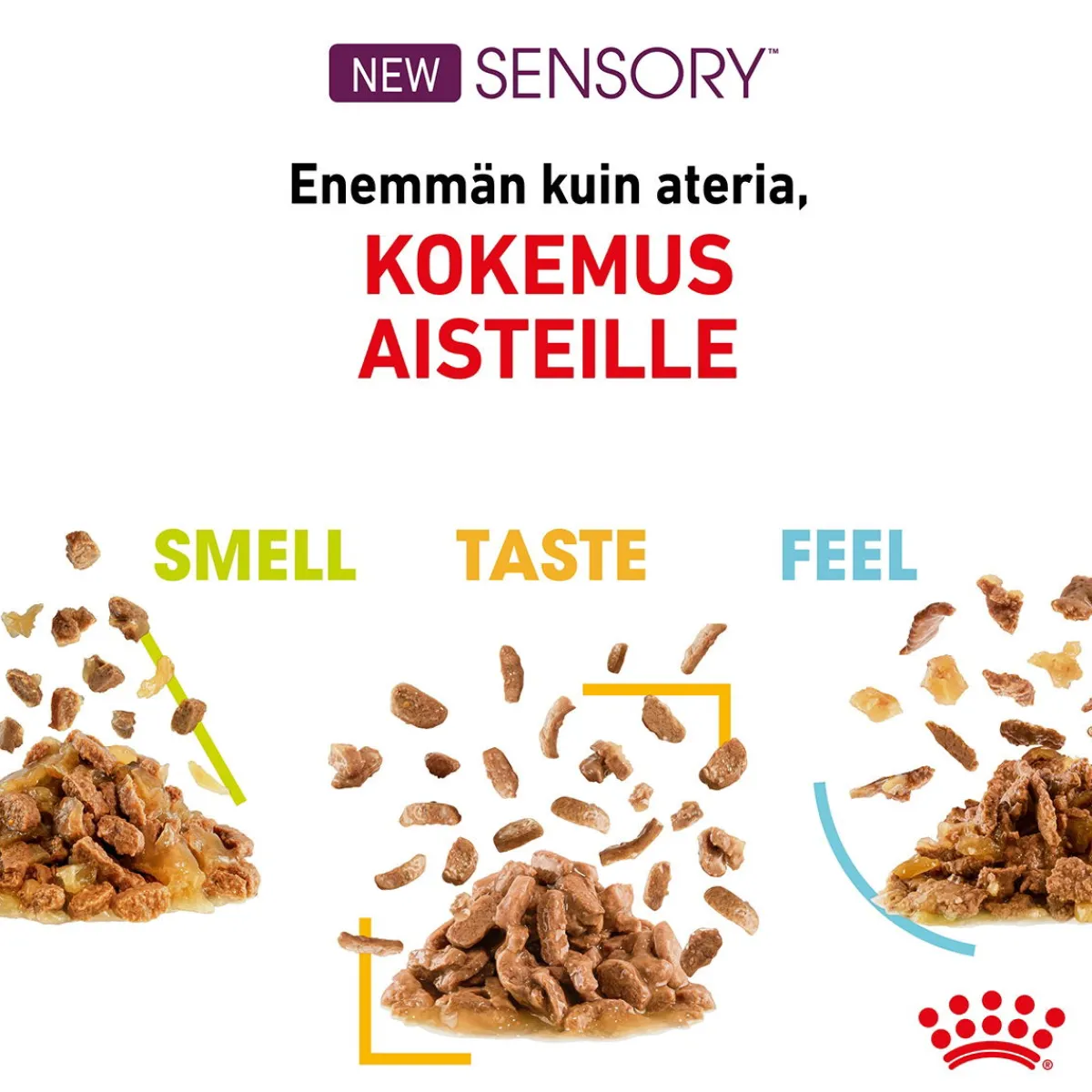 Royal Canin Kissan Märkäruoka*Sensory Feel Gravy 85g, 48-pack
