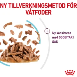 Royal Canin Kissan Märkäruoka*Sensory Feel Gravy 85g, 48-pack