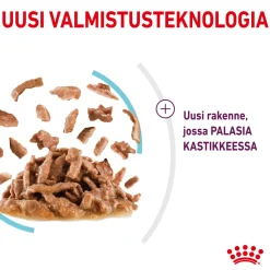 Royal Canin Kissan Märkäruoka*Sensory Feel Gravy 85g, 48-pack