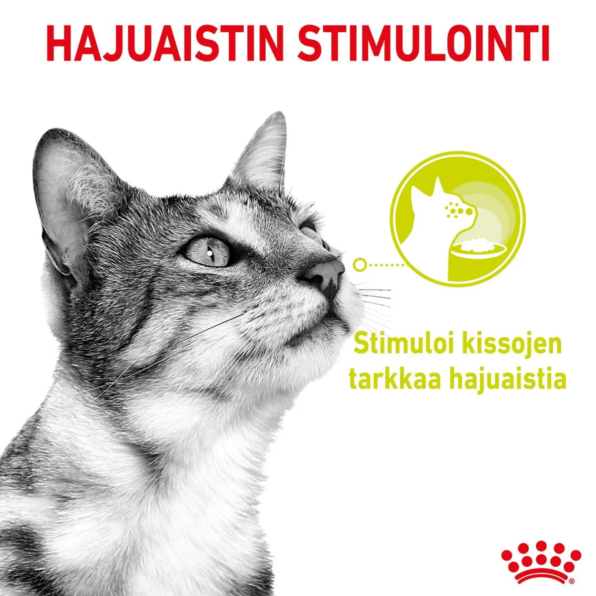 Royal Canin Kissan Märkäruoka*Sensory Mixed box Gravy, 12x85g