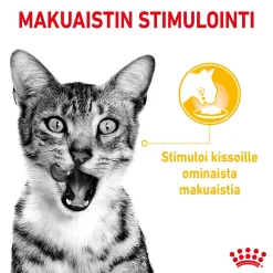 Royal Canin Kissan Märkäruoka*Sensory Mixed box Gravy, 12x85g