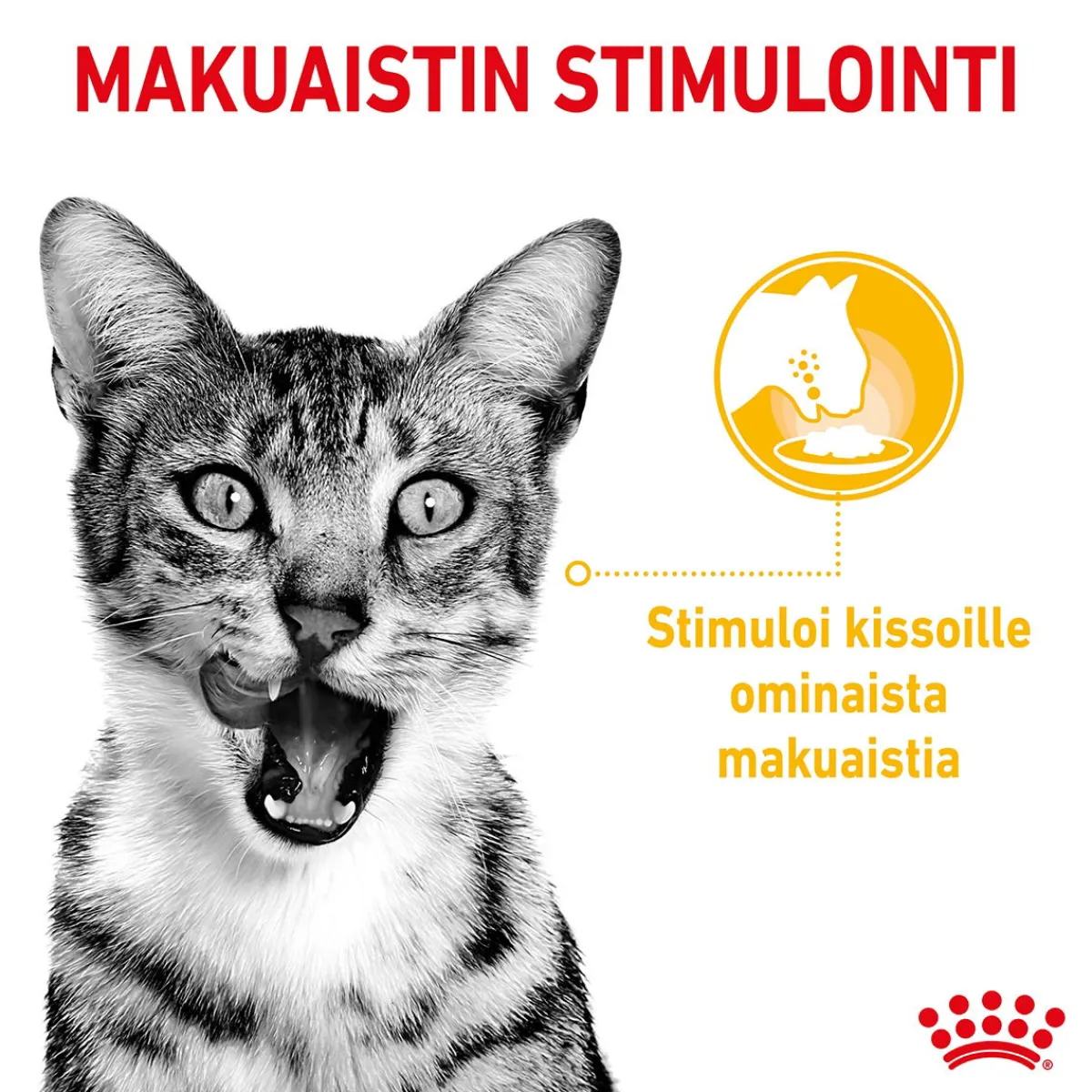 Royal Canin Kissan Märkäruoka*Sensory Mixed box Gravy, 12x85g