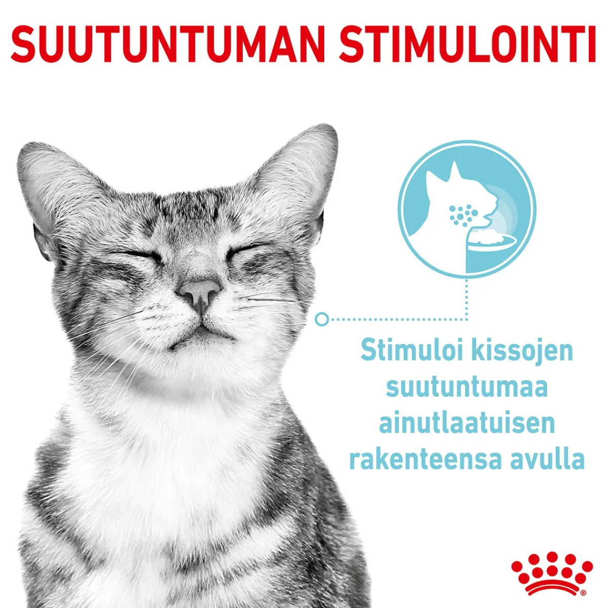 Royal Canin Kissan Märkäruoka*Sensory Mixed box Gravy, 12x85g