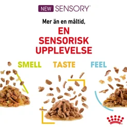 Royal Canin Kissan Märkäruoka*Sensory Mixed box Gravy 85g, 48-pack