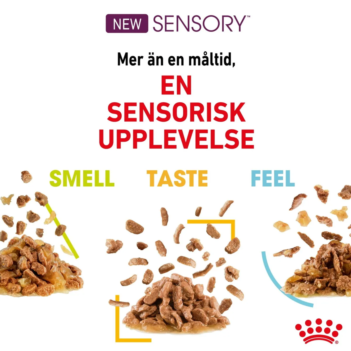 Royal Canin Kissan Märkäruoka*Sensory Mixed box Gravy 85g, 48-pack