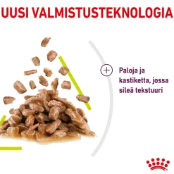 Royal Canin Kissan Märkäruoka*Sensory Smell Gravy, 12x85g