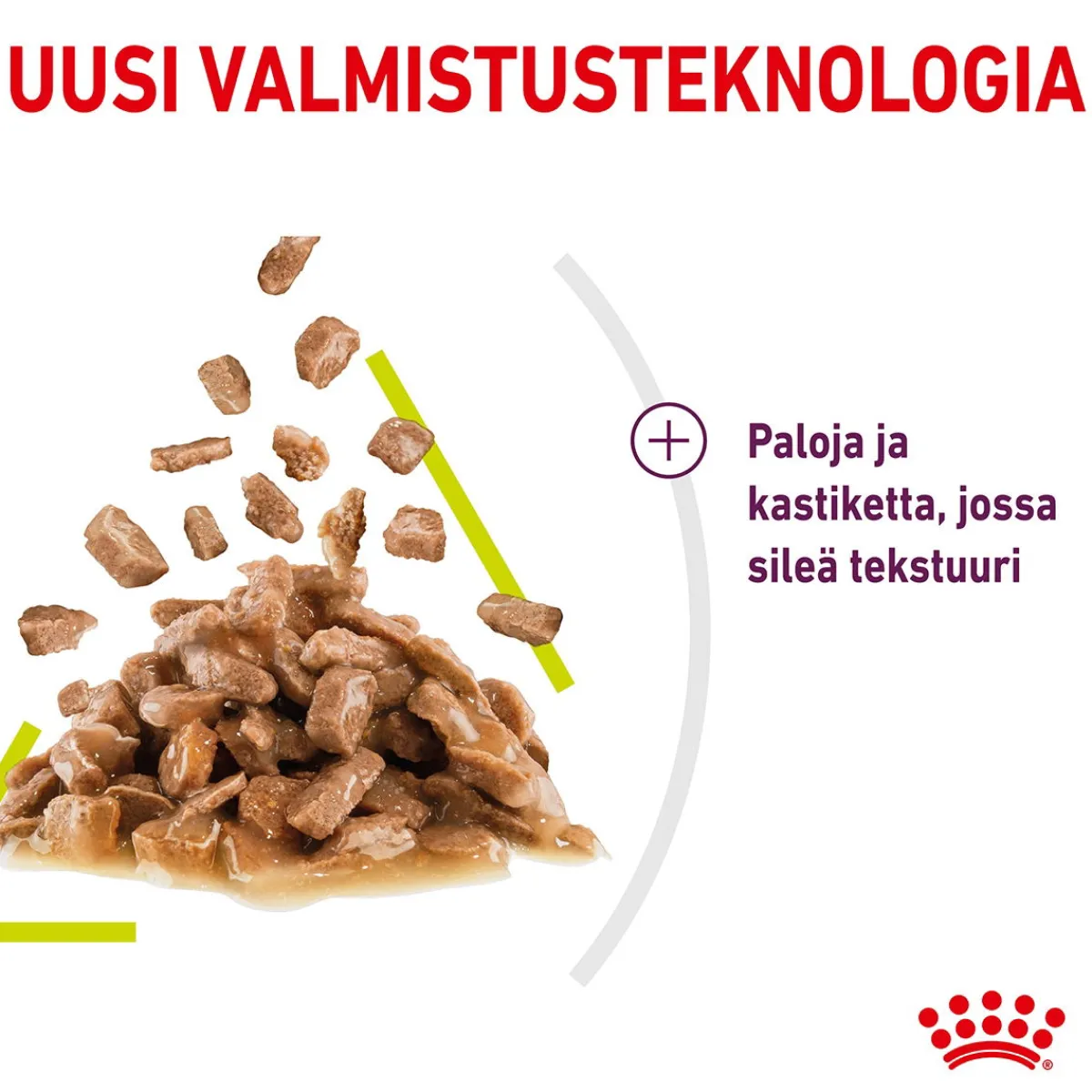 Royal Canin Kissan Märkäruoka*Sensory Smell Gravy, 12x85g