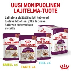 Royal Canin Kissan Märkäruoka*Sensory Smell Gravy, 12x85g