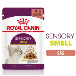 Royal Canin Kissan Märkäruoka*Sensory Smell Gravy 85g, 48-pack