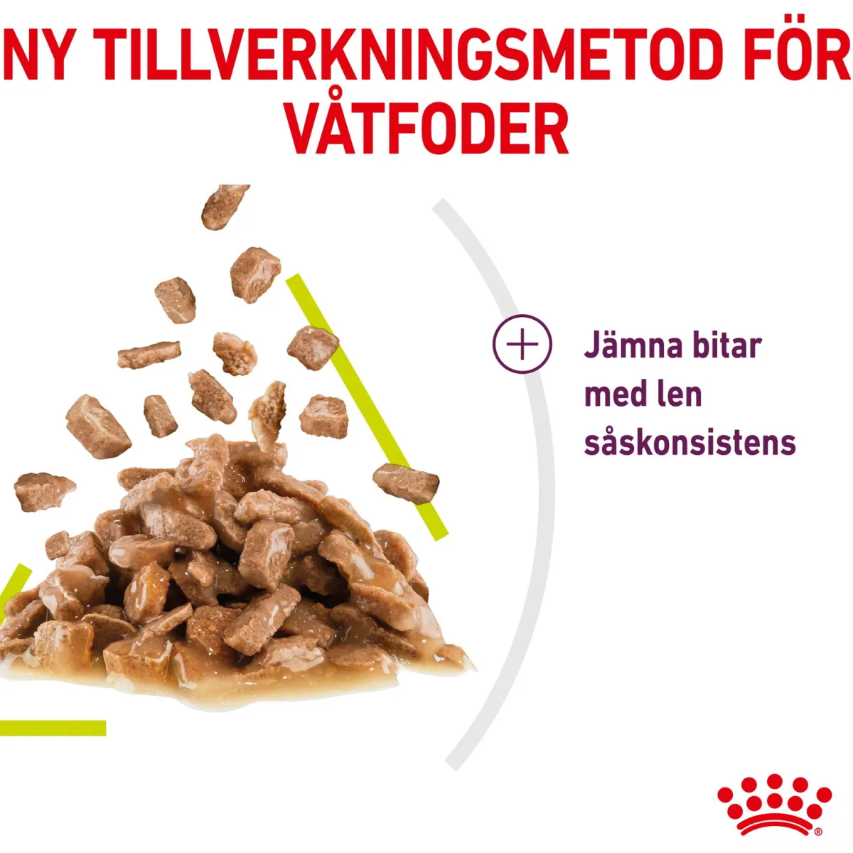 Royal Canin Kissan Märkäruoka*Sensory Smell Gravy 85g, 48-pack