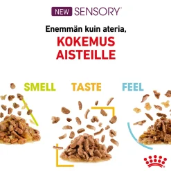 Royal Canin Kissan Märkäruoka*Sensory Taste Gravy, 12x85g
