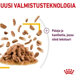 Royal Canin Kissan Märkäruoka*Sensory Taste Gravy, 12x85g