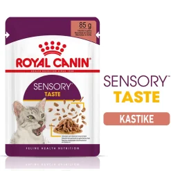 Royal Canin Kissan Märkäruoka*Sensory Taste Gravy 85g, 48-pack