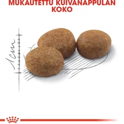 Royal Canin Kissan Kuivaruoka|Kissan Erikoisruoat*Sterilised