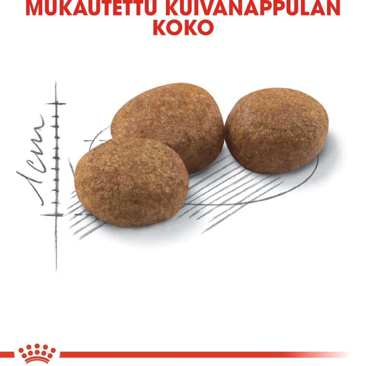 Royal Canin Kissan Kuivaruoka|Kissan Erikoisruoat*Sterilised