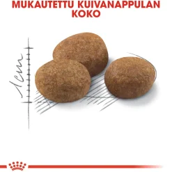 Royal Canin Seniorikissan Ruoka|Seniorikissan Ruoka*Sterilised 7+
