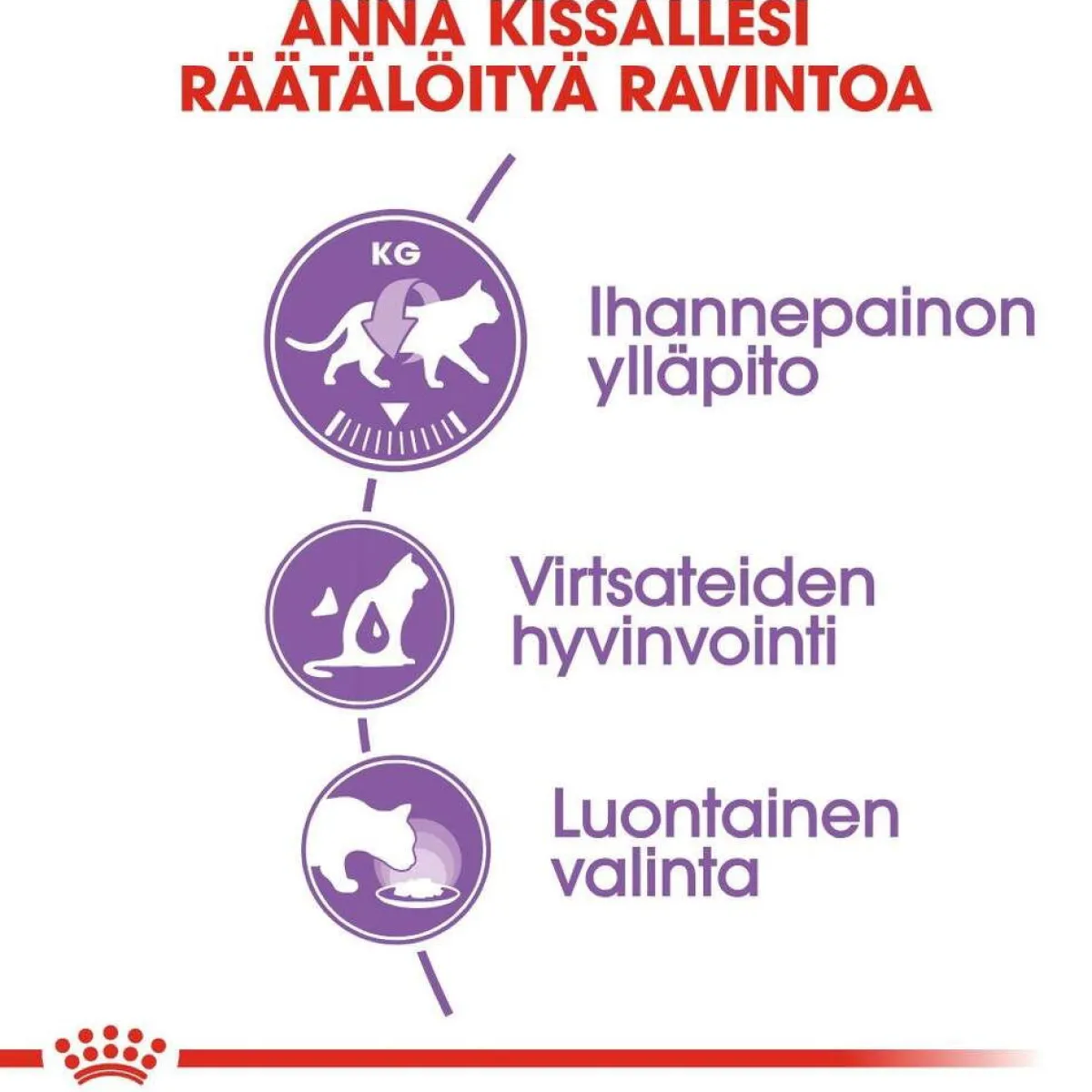 Royal Canin Kissan Märkäruoka*Sterilised Jelly 85g, 48-pack
