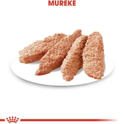 Royal Canin Koiranruoat Erityistapeisiin|Koiran Märkäruoka Ja Makkarat*Sterilised wet 12 x 85 g