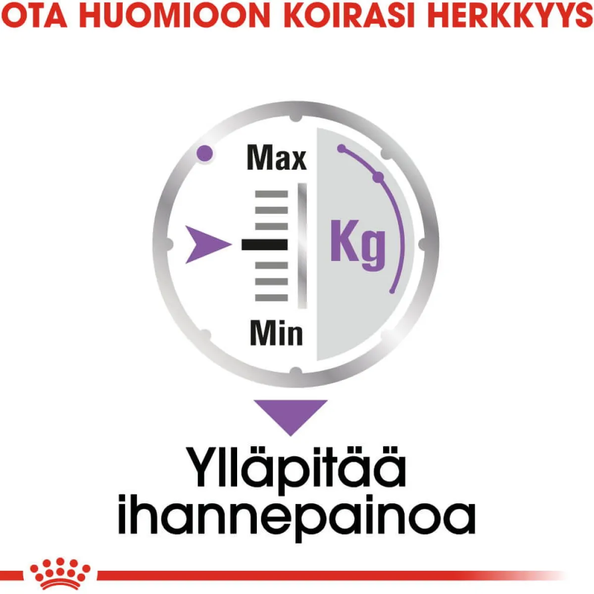 Royal Canin Koiranruoat Erityistapeisiin|Koiran Märkäruoka Ja Makkarat*Sterilised wet 12 x 85 g