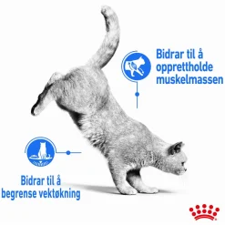 Royal Canin Kissan Märkäruoka*Ultra Light Gravy 85g, 48-pack