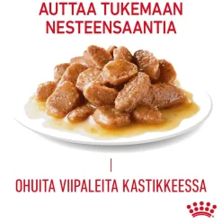 Royal Canin Kissan Märkäruoka*Ultra Light Gravy 85g, 48-pack