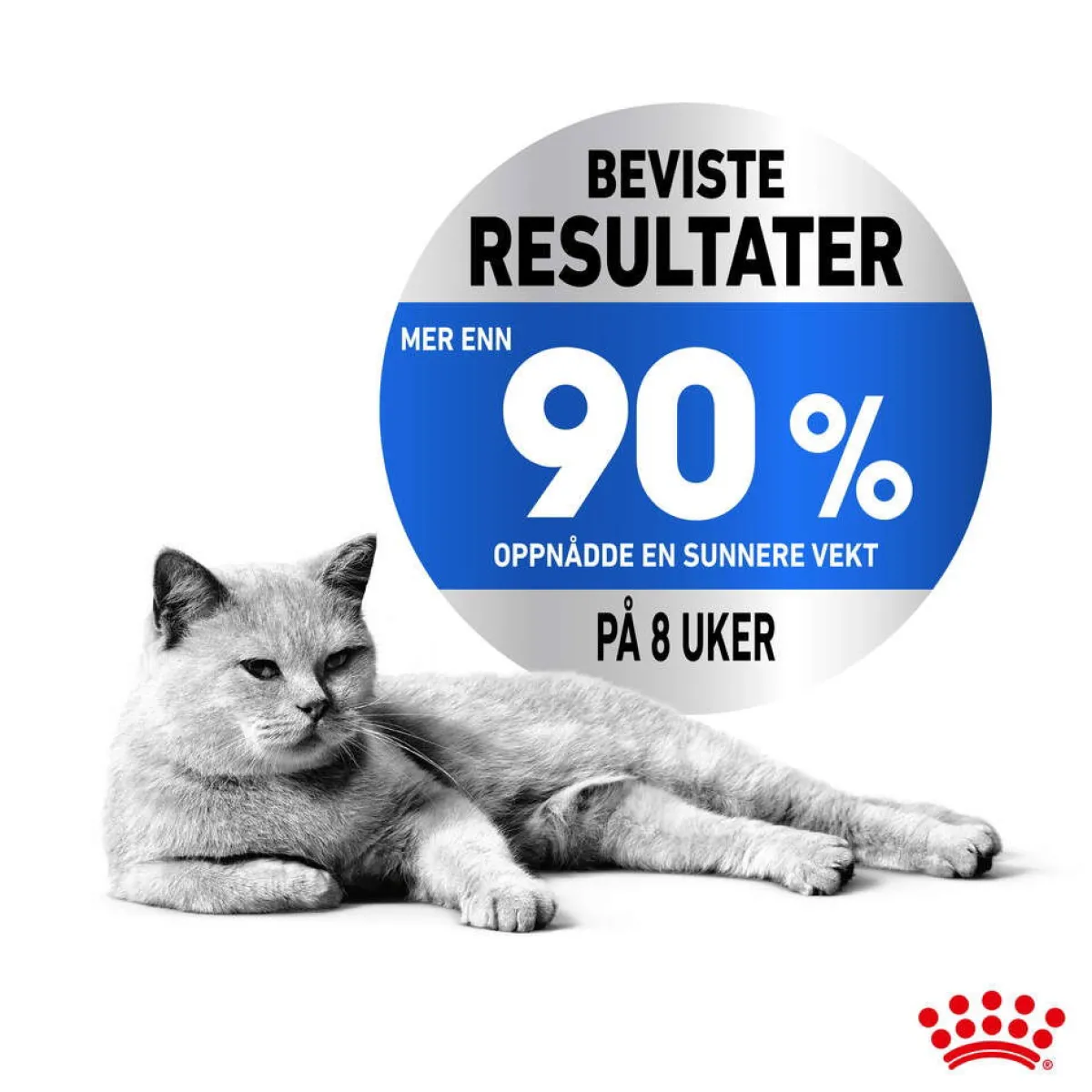 Royal Canin Kissan Märkäruoka*Ultra Light Jelly 85g, 48-pack