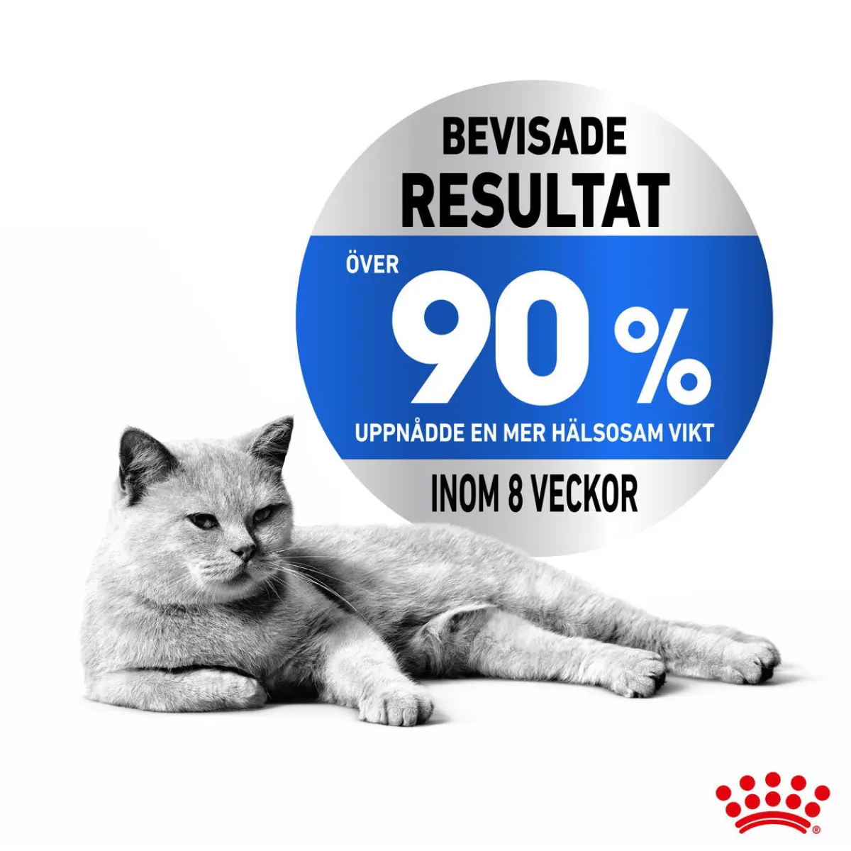 Royal Canin Kissan Märkäruoka*Ultra Light Jelly 85g, 48-pack