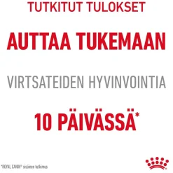 Royal Canin Kissan Kuivaruoka|Kissan Erikoisruoat*Urinary Care